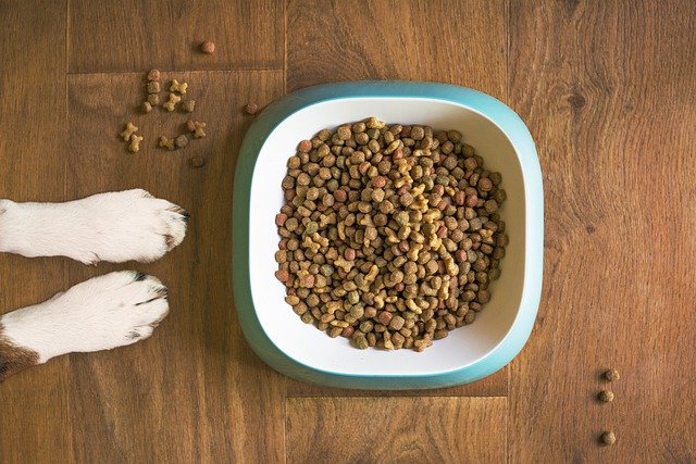 Lire la suite à propos de l’article Savoir décrypter un paquet de croquettes !