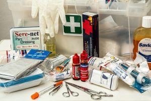 Lire la suite à propos de l’article Trousse de secours pour chien : quel est le minimum à emporter ?
