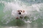 Baignade, jeux d&rsquo;eau et jeux de plage : soyez prudents !