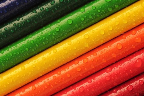 Lire la suite à propos de l’article Comment interpréter la couleur des selles de votre chien ?