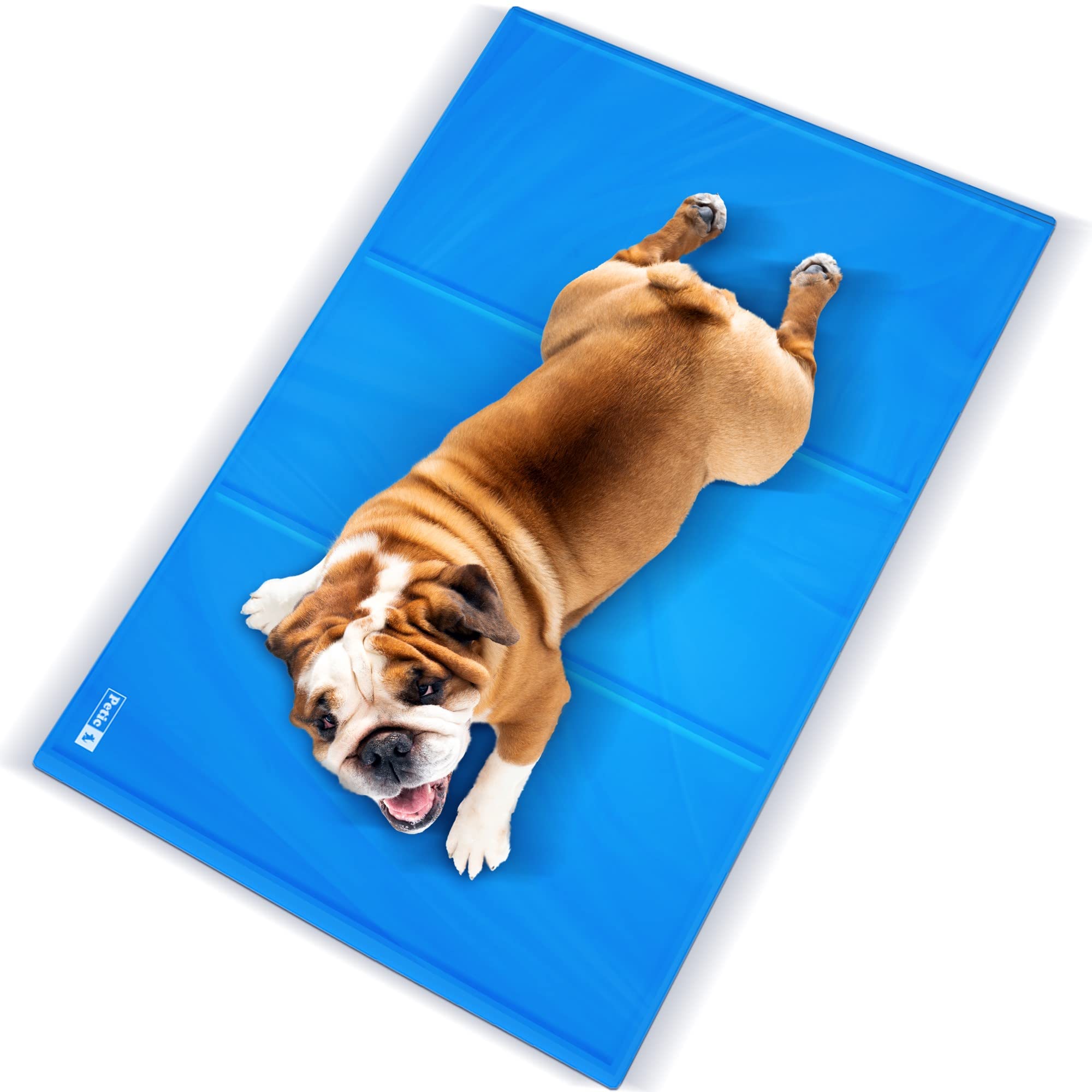 Lire la suite à propos de l’article Tapis rafraîchissant pour chien : miracle ou arnaque ?